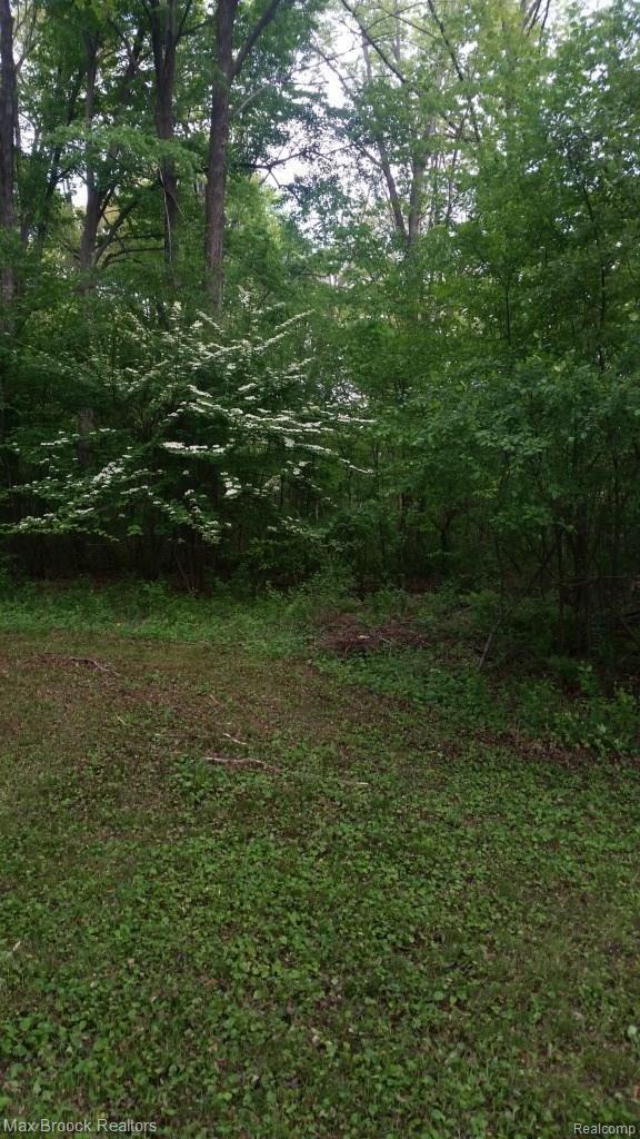 23862 Berg Road Southfield, MI 48033 - Photo 63 of 69 20150521_181902.jpg