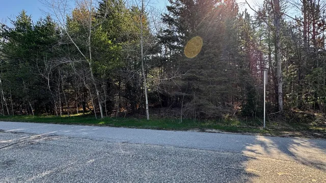 $15,900 | Lot 8 Whitetail Drive, Cadillac, MI 49601