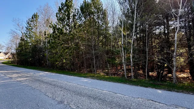 $15,900 | Lot 8 Whitetail Drive, Cadillac, MI 49601