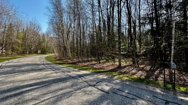 $15,900 | Lot 8 Whitetail Drive, Cadillac, MI 49601