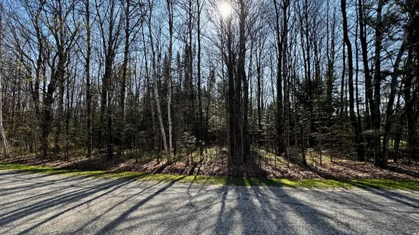 $15,900 | Lot 8 Whitetail Drive, Cadillac, MI 49601