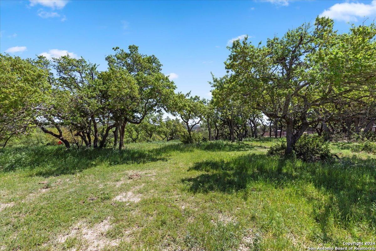 a view of backyard with green space