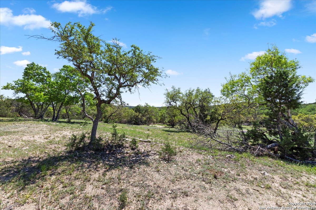 729 Rabbit Road Wimberley, TX 78676 - Photo 11 of 28 a view of a yard with a tree