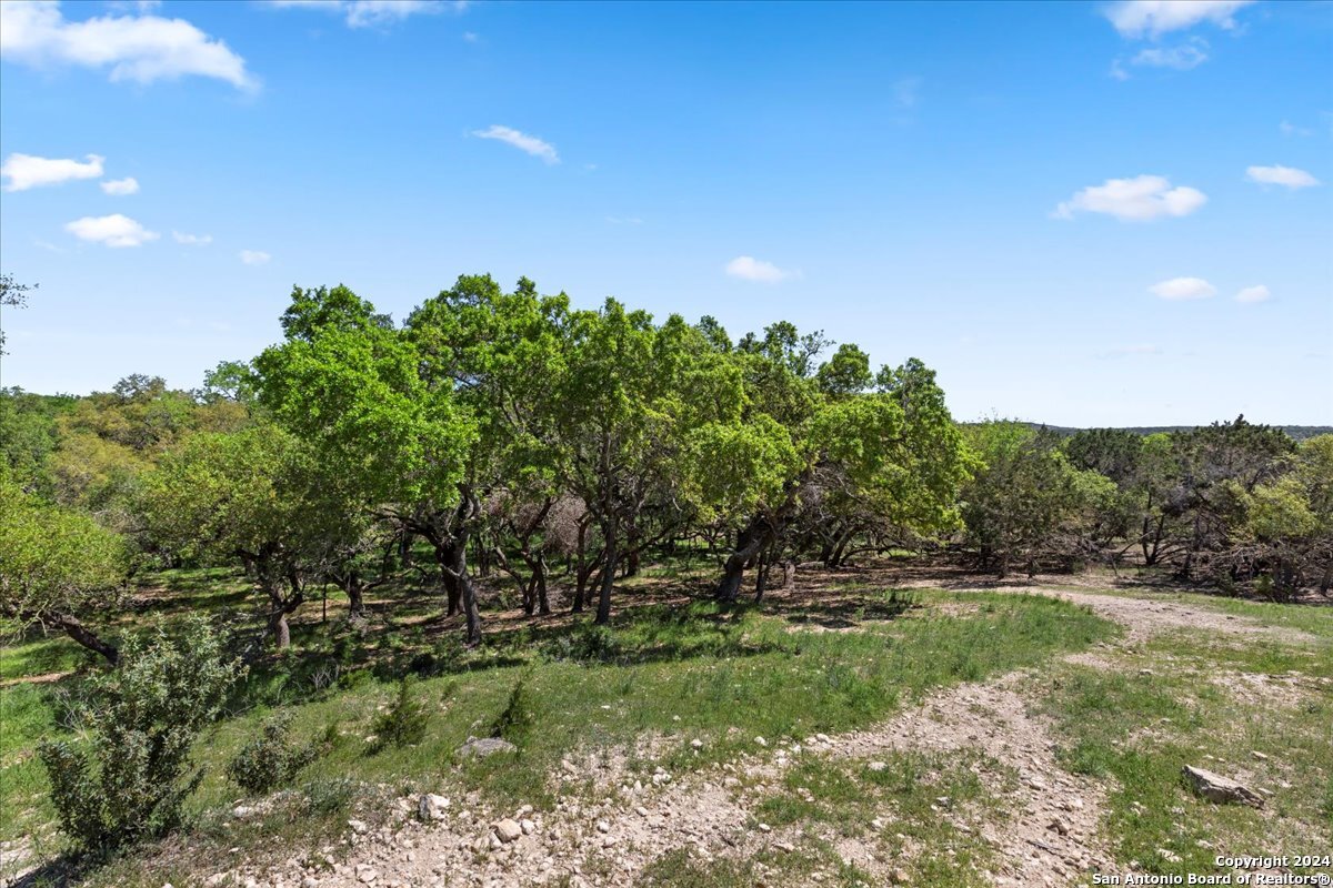 729 Rabbit Road Wimberley, TX 78676 - Photo 12 of 28 a backyard of a house with lots of green space