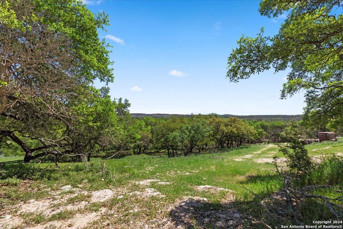 729 Rabbit Road Wimberley, TX 78676 - Photo 14 of 28 a view of a garden
