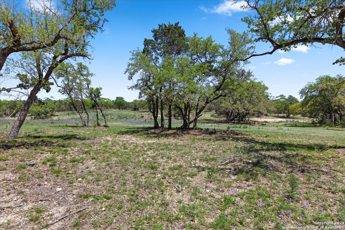 729 Rabbit Road Wimberley, TX 78676 - Photo 16 of 28 a view of outdoor space with trees