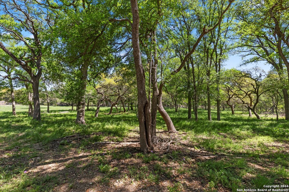 729 Rabbit Road Wimberley, TX 78676 - Photo 17 of 28 a view of a backyard with large trees