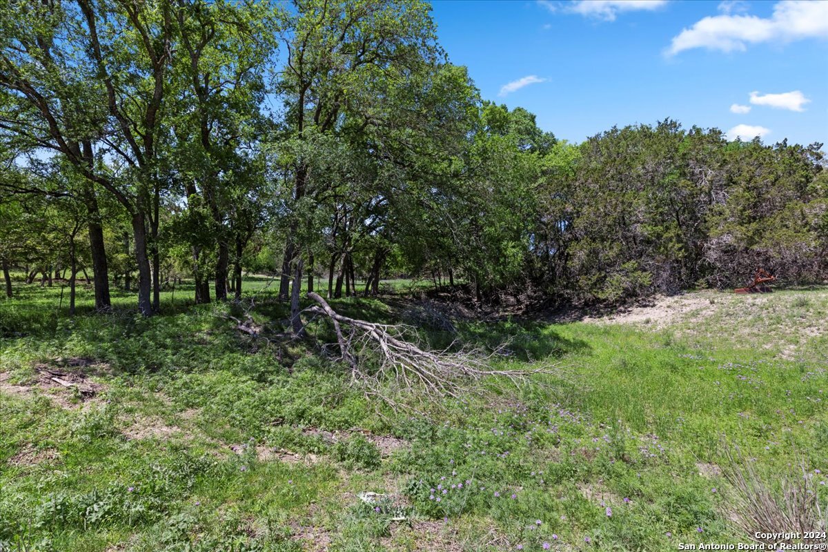 729 Rabbit Road Wimberley, TX 78676 - Photo 2 of 28 a view of outdoor space and green space