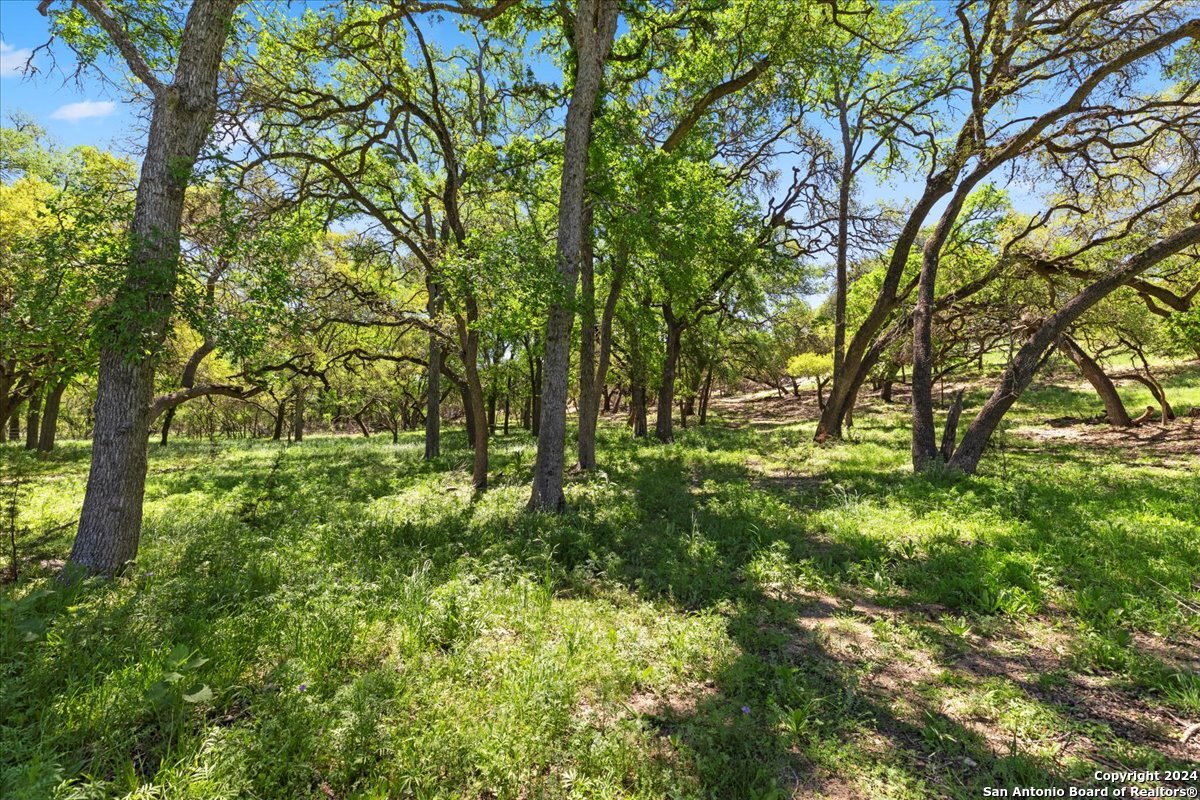 729 Rabbit Road Wimberley, TX 78676 - Photo 25 of 28 a view of lush green forest