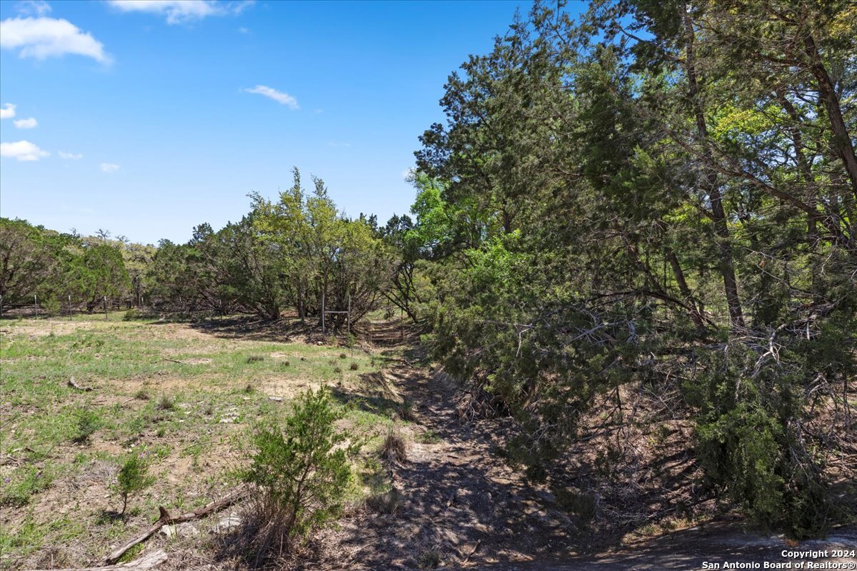 729 Rabbit Road Wimberley, TX 78676 - Photo 26 of 28 a view of beach and trees