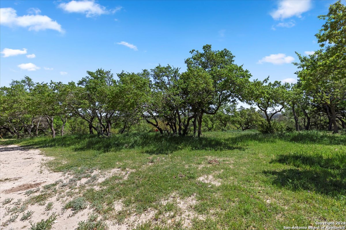 729 Rabbit Road Wimberley, TX 78676 - Photo 3 of 28 a big yard with lots of green space and deers