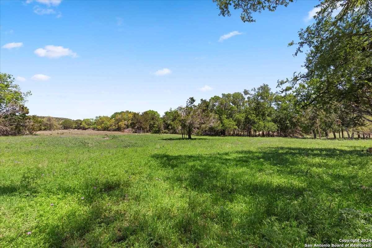 729 Rabbit Road Wimberley, TX 78676 - Photo 5 of 28 a view of a green field with trees in the background