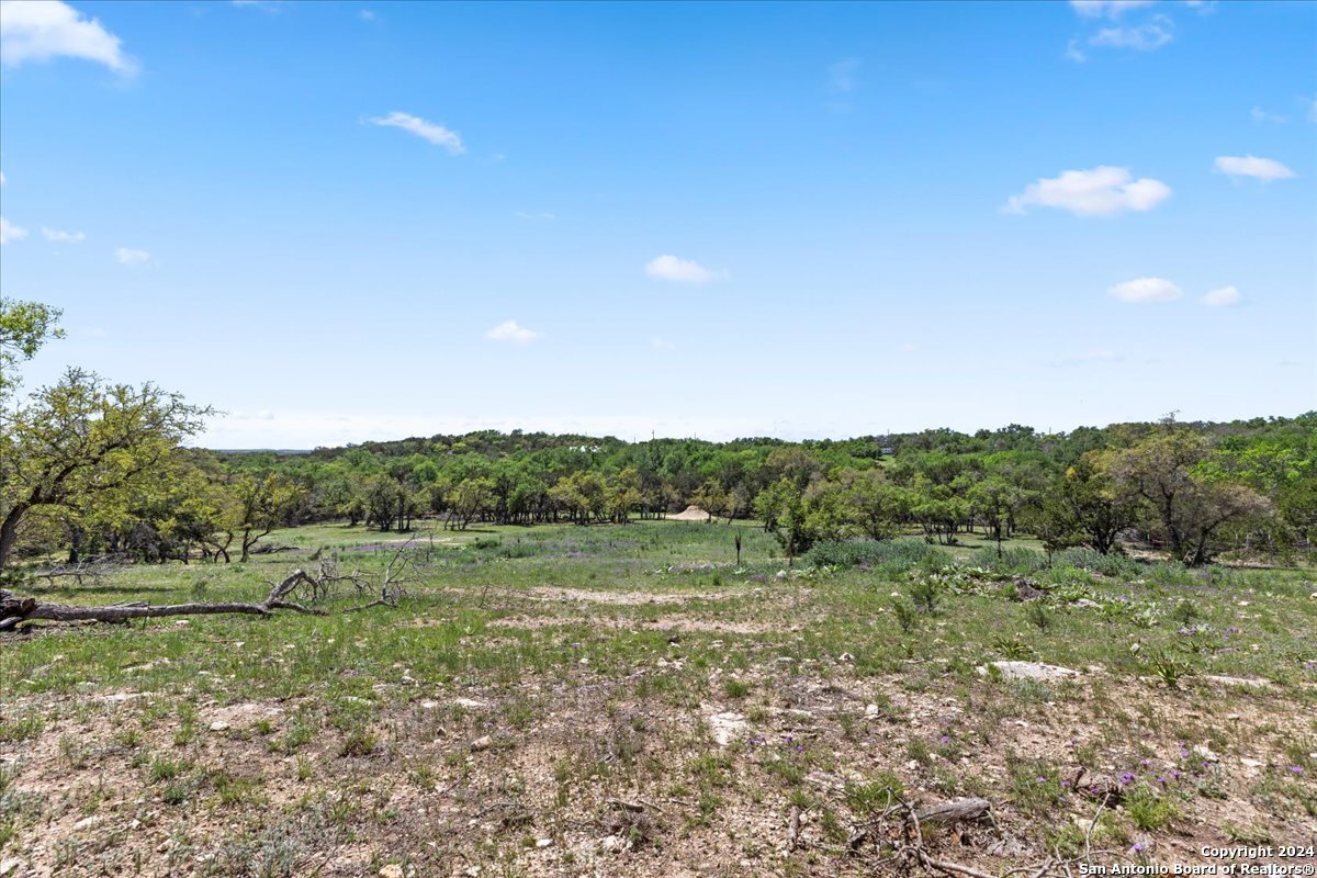 729 Rabbit Road Wimberley, TX 78676 - Photo 7 of 28 a view of a field with trees in the background