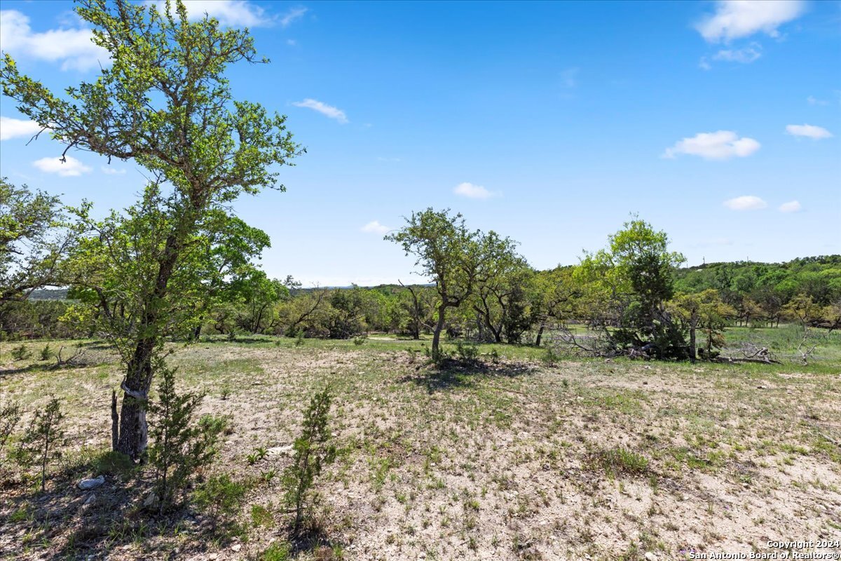 729 Rabbit Road Wimberley, TX 78676 - Photo 8 of 28 a view of a field with trees in the background