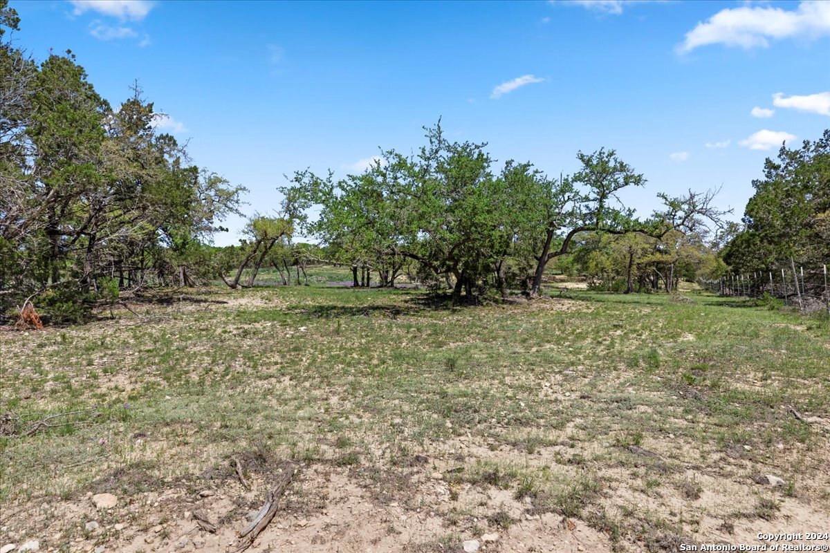 729 Rabbit Road Wimberley, TX 78676 - Photo 9 of 28 a view of a yard with plants and trees