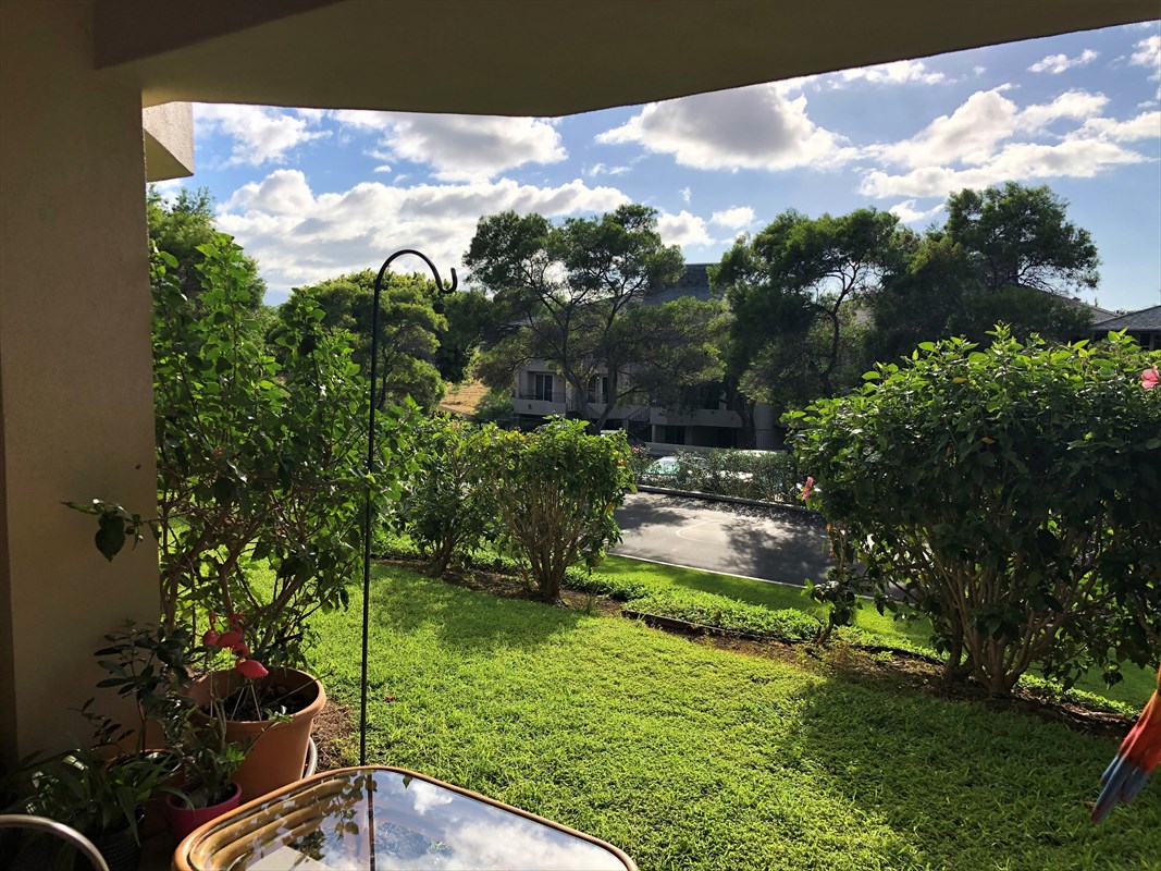 68-1745 Waikoloa Road, Unit J101 Waikoloa, HI 96738 - Photo 5 of 5 a backyard of a house with lots of green space
