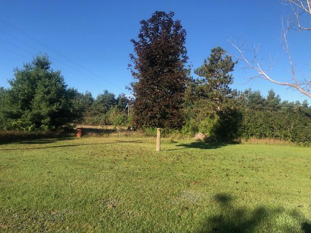 4409 West 16 Road Mesick, MI 49668 - Photo 8 of 38 IMG_8369