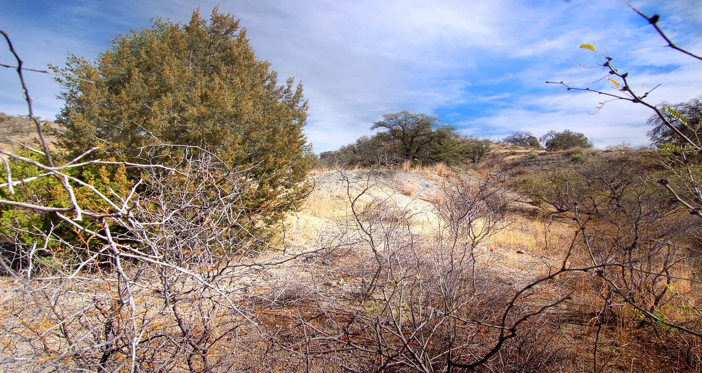 Canyon Road Patagonia, AZ 85624 - Photo 27 of 34
