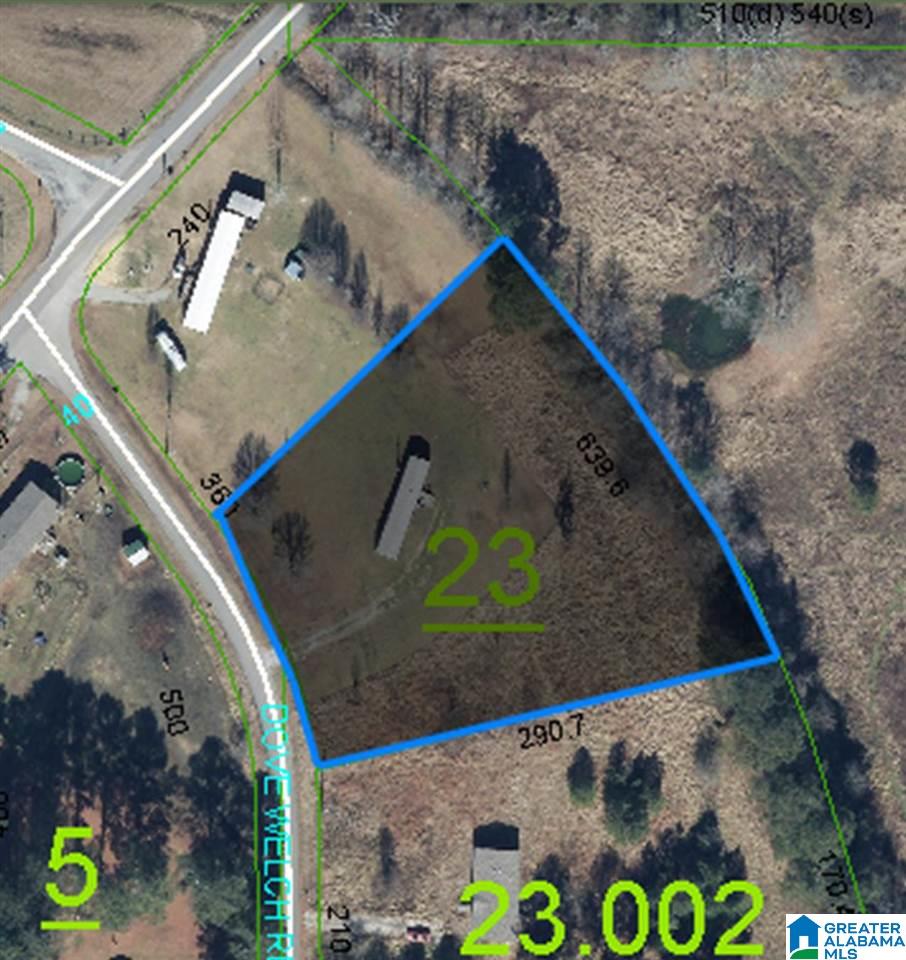 1244 Dove Welch Road Wellington, AL 36279 - Photo 5 of 5