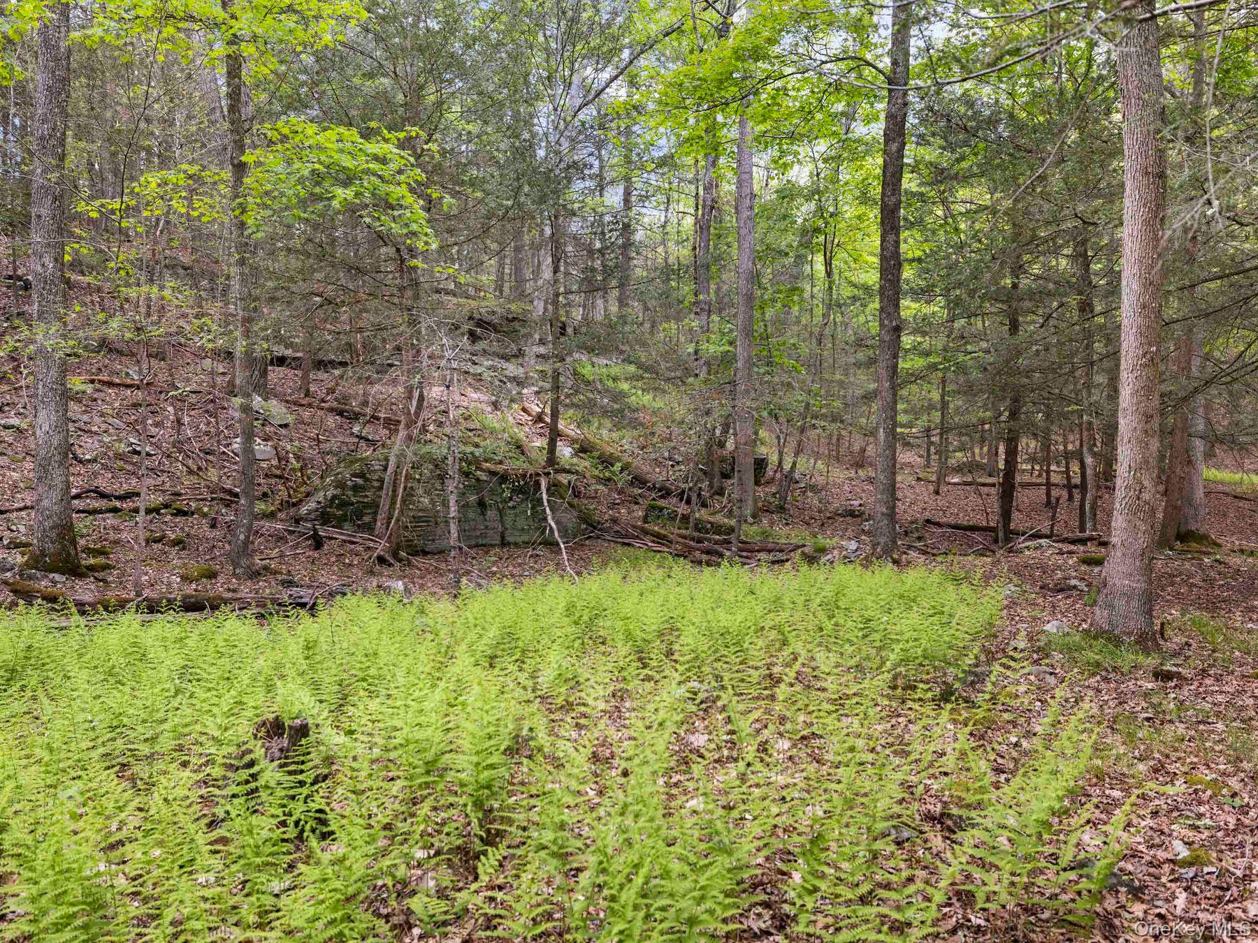 40 Mamoud Hills Road Kingston, NY 12401 - Photo 29 of 42 a view of a backyard with trees