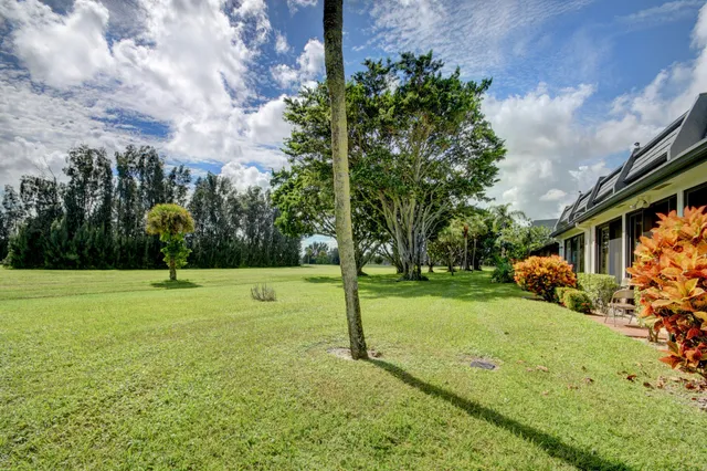 a view of field with large trees