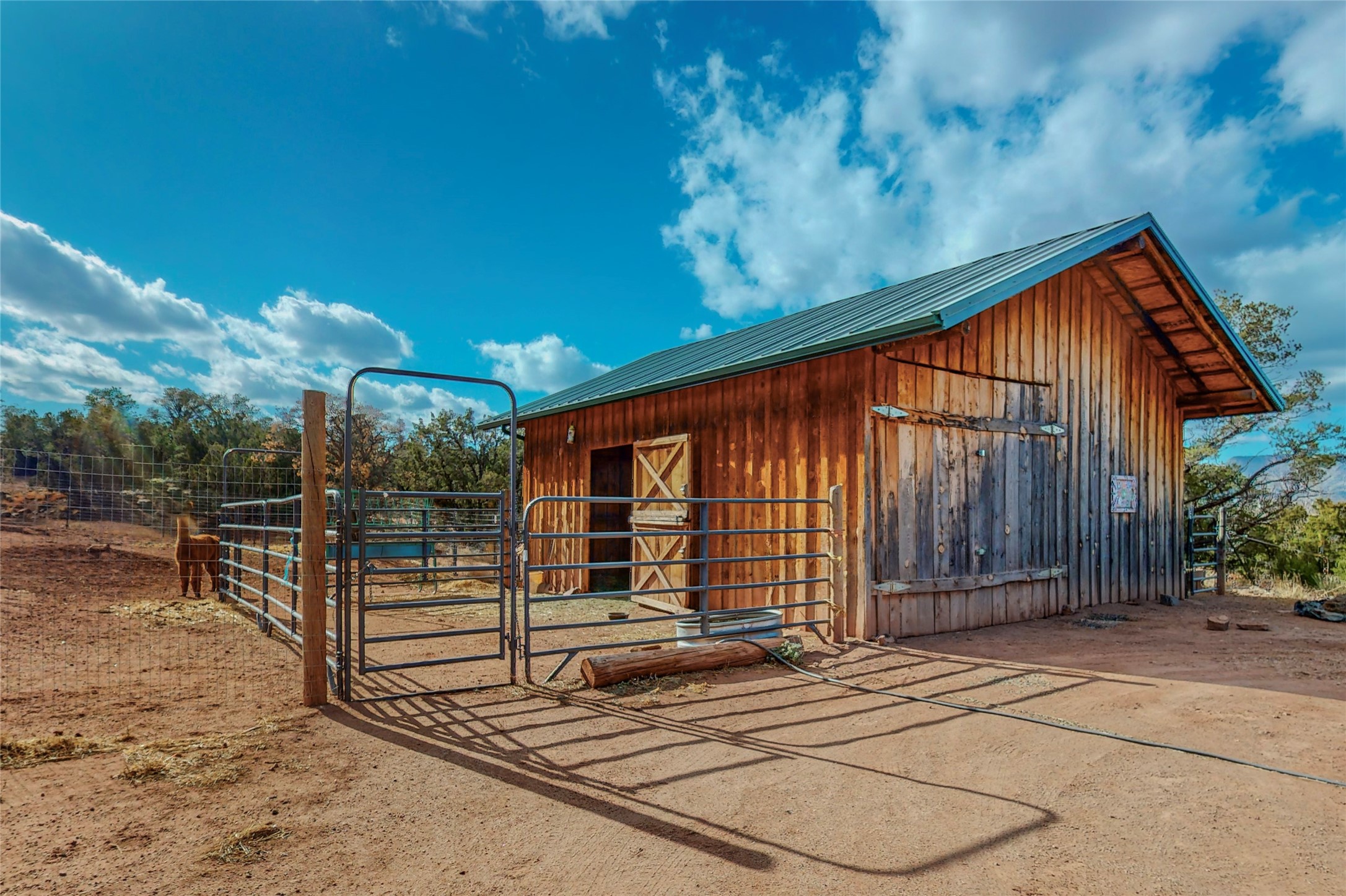 29 County Road B41E Ribera, NM 87560 - Photo 20 of 23 Stable