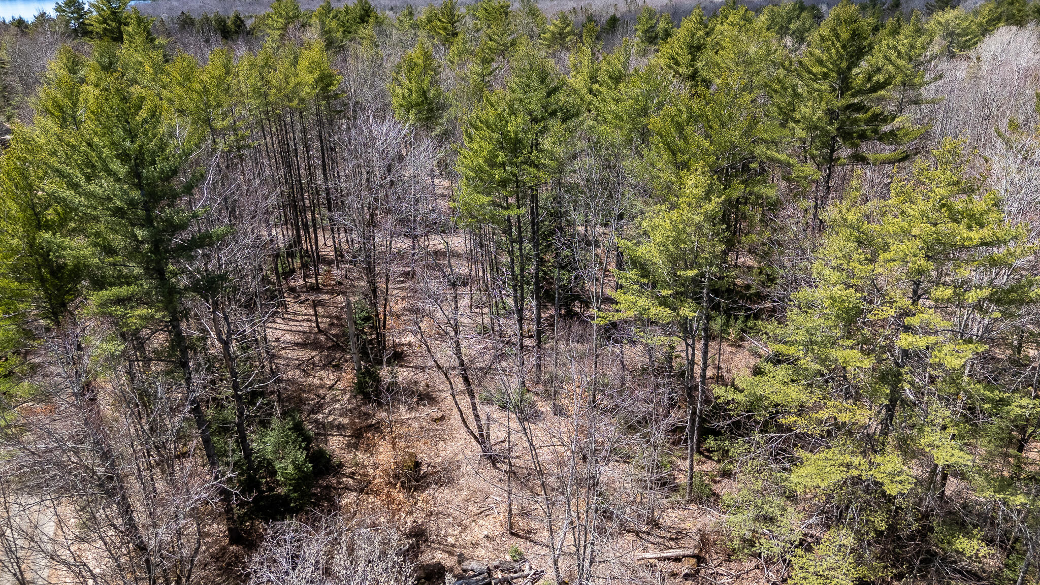 0 Bearce Road Sangerville, ME 04479 - Photo 30 of 50 DJI_20260417125541_0109_D