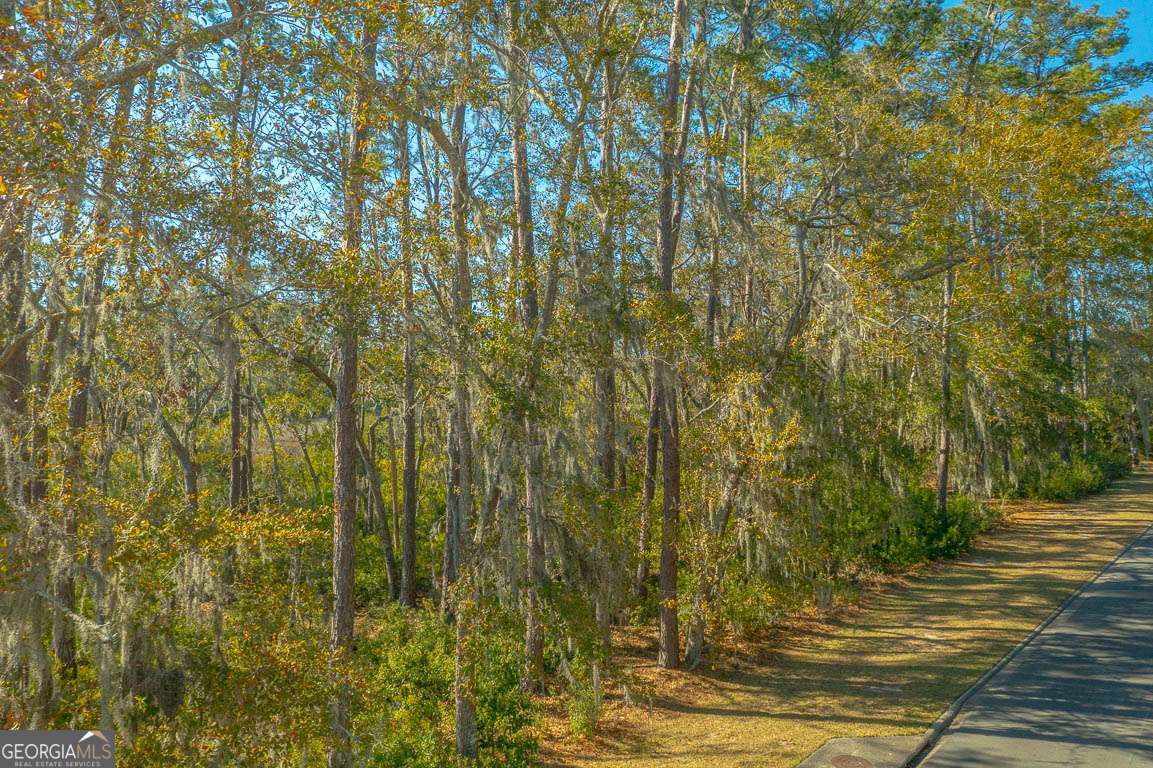 119 Rice Mill St. Simons Island, GA 31522 - Photo 14 of 14