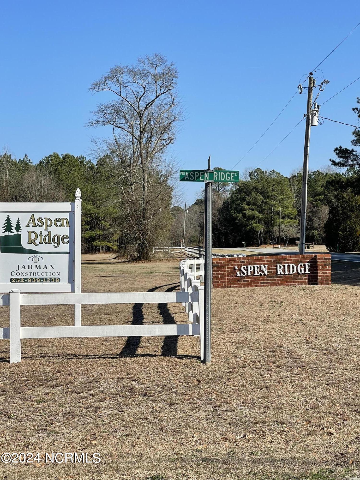 10 Aspen Ridge Court Deep Run, NC 28525 - Photo 2 of 6 IMG_5994