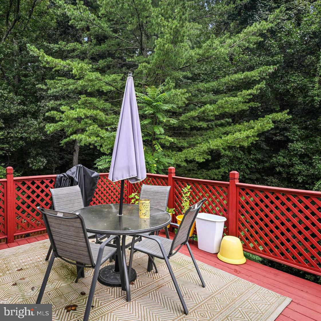 11403 Cosca Park Place Clinton, MD 20735 - Photo 16 of 36