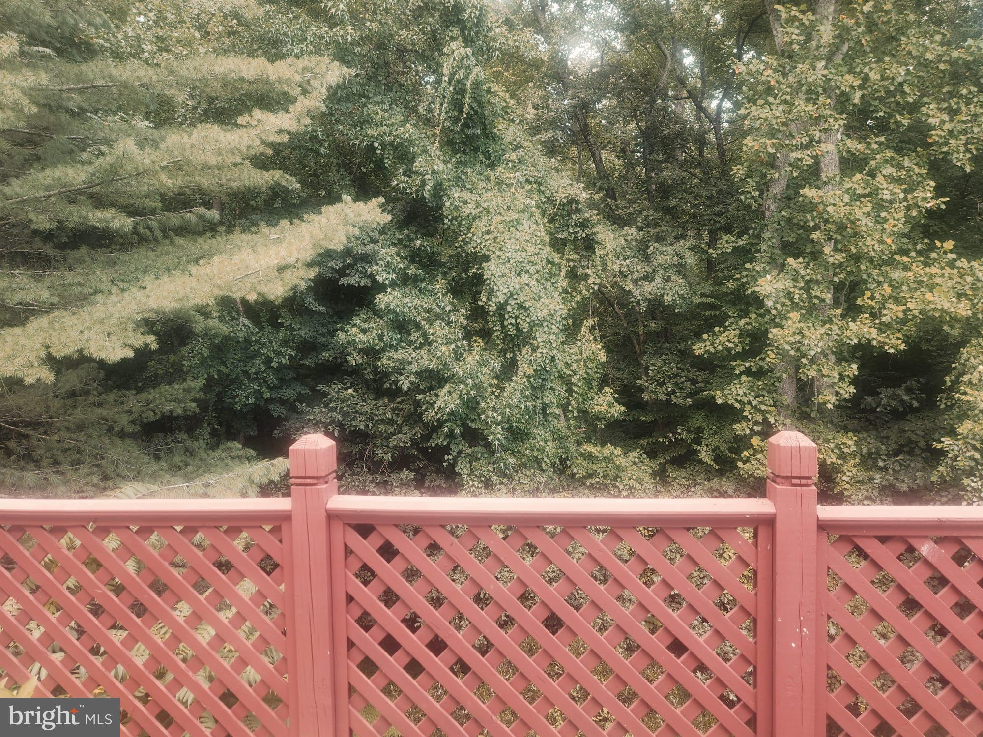 11403 Cosca Park Place Clinton, MD 20735 - Photo 36 of 36