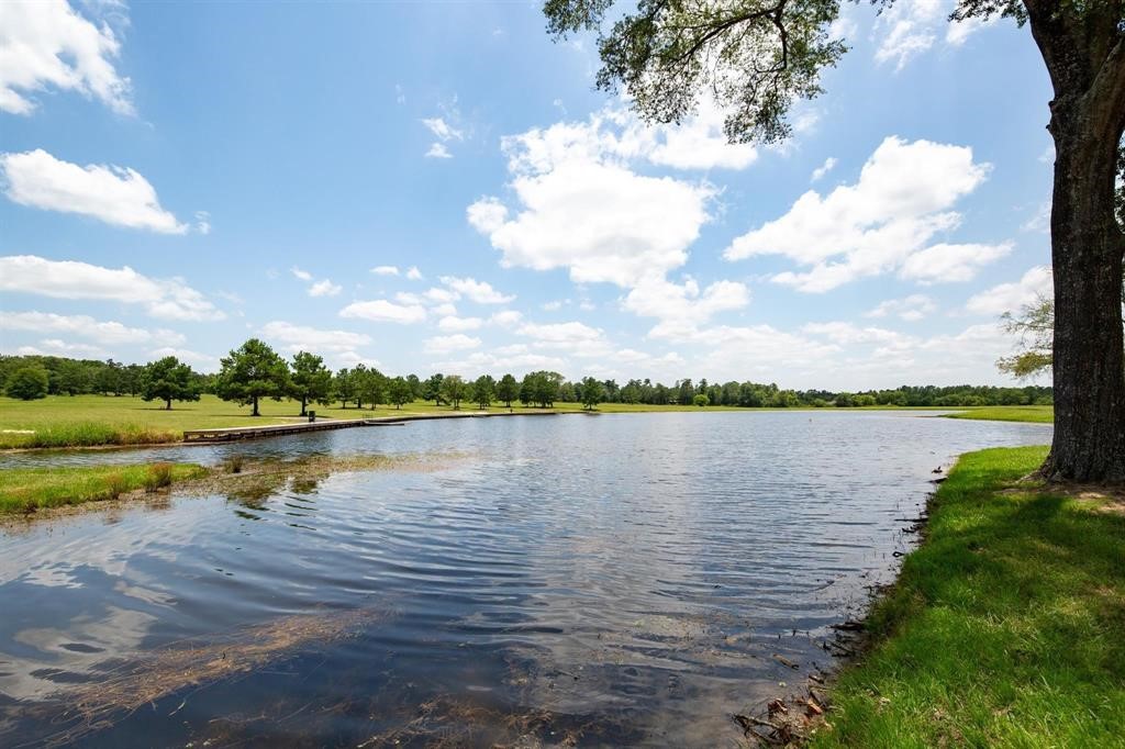 15806 Republic Ranch Road North Willis, TX 77378 - Photo 15 of 20
