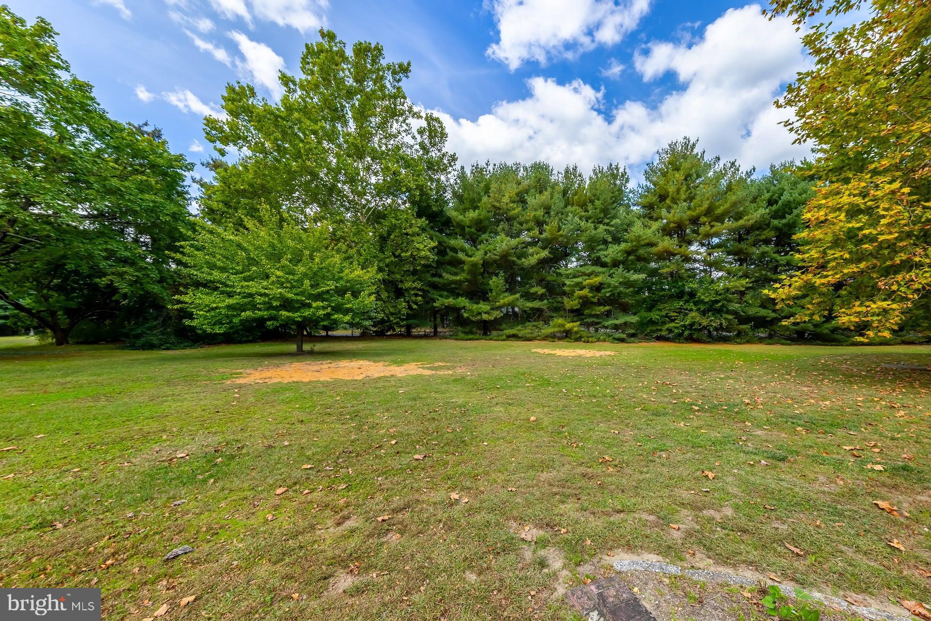 399 Fries Mill Road Franklinville, NJ 08322 - Photo 7 of 24 Gallery Image 7