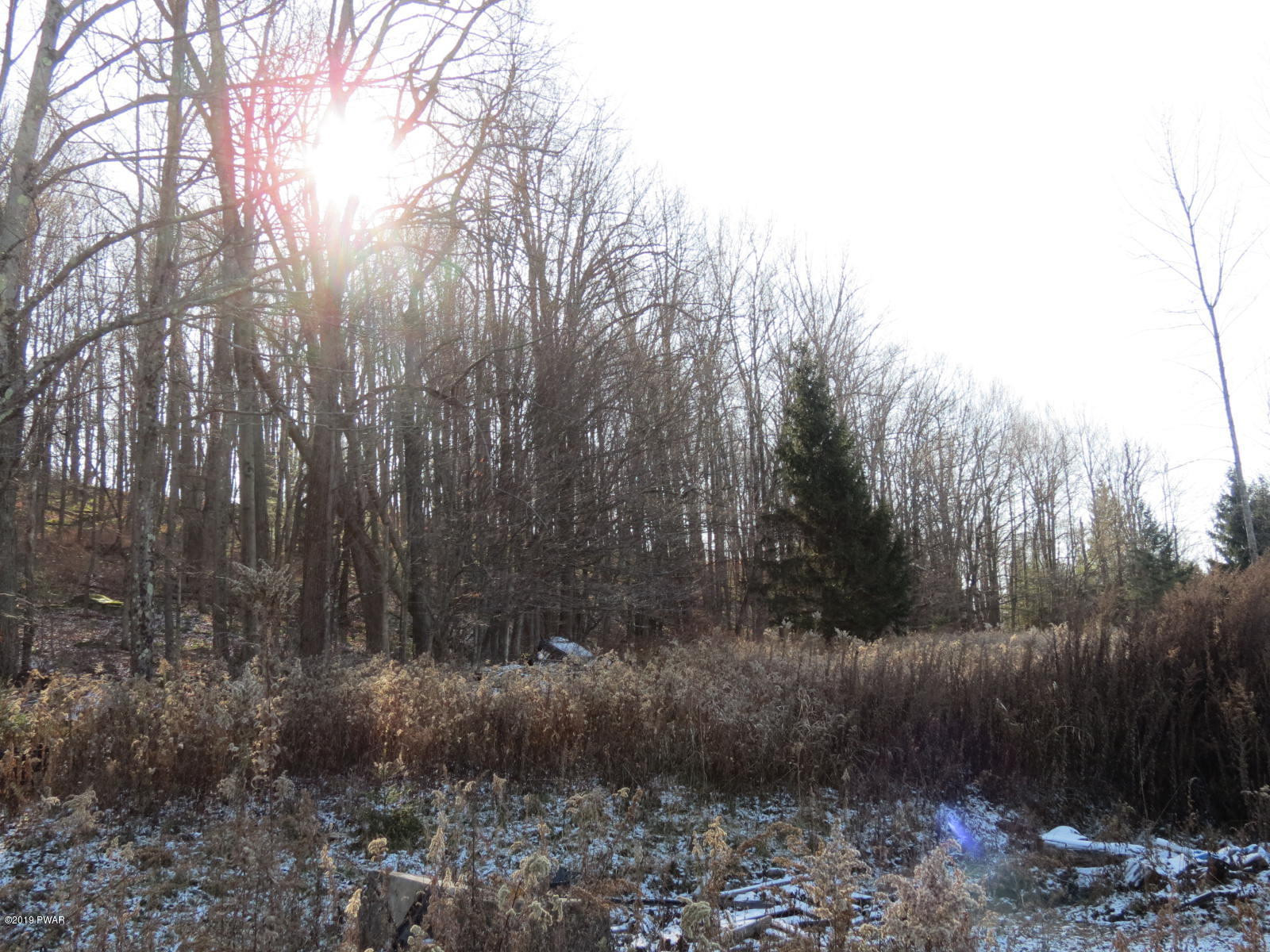 146 Mountain Vw Road Newfoundland, PA 18445 - Photo 9 of 13