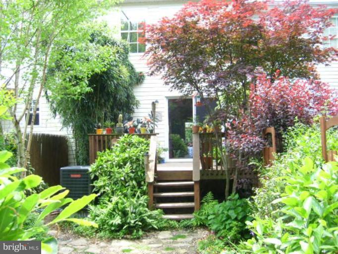 252 Douglas Street Elkton, MD 21921 - Photo 6 of 10 Exterior (Rear)