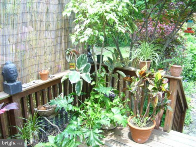 252 Douglas Street Elkton, MD 21921 - Photo 10 of 10 Deck