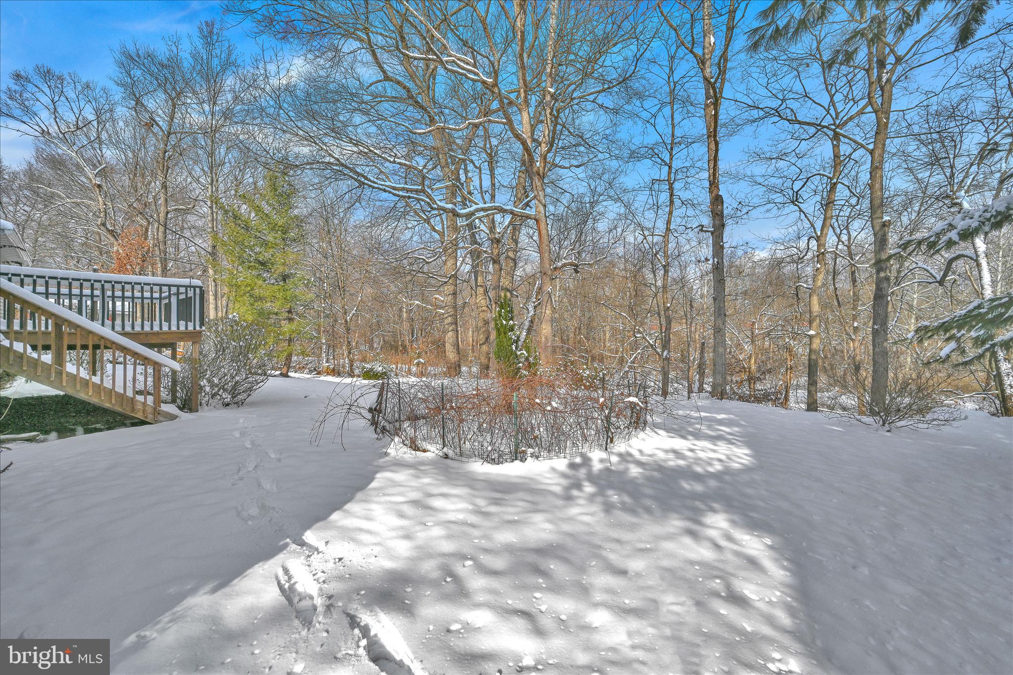 318 Fairview Road Reading, PA 19606 - Photo 43 of 46 Backyard