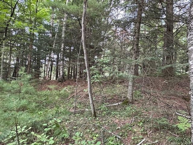 0 Dahl Road Ogema, WI 54459 - Photo 3 of 19