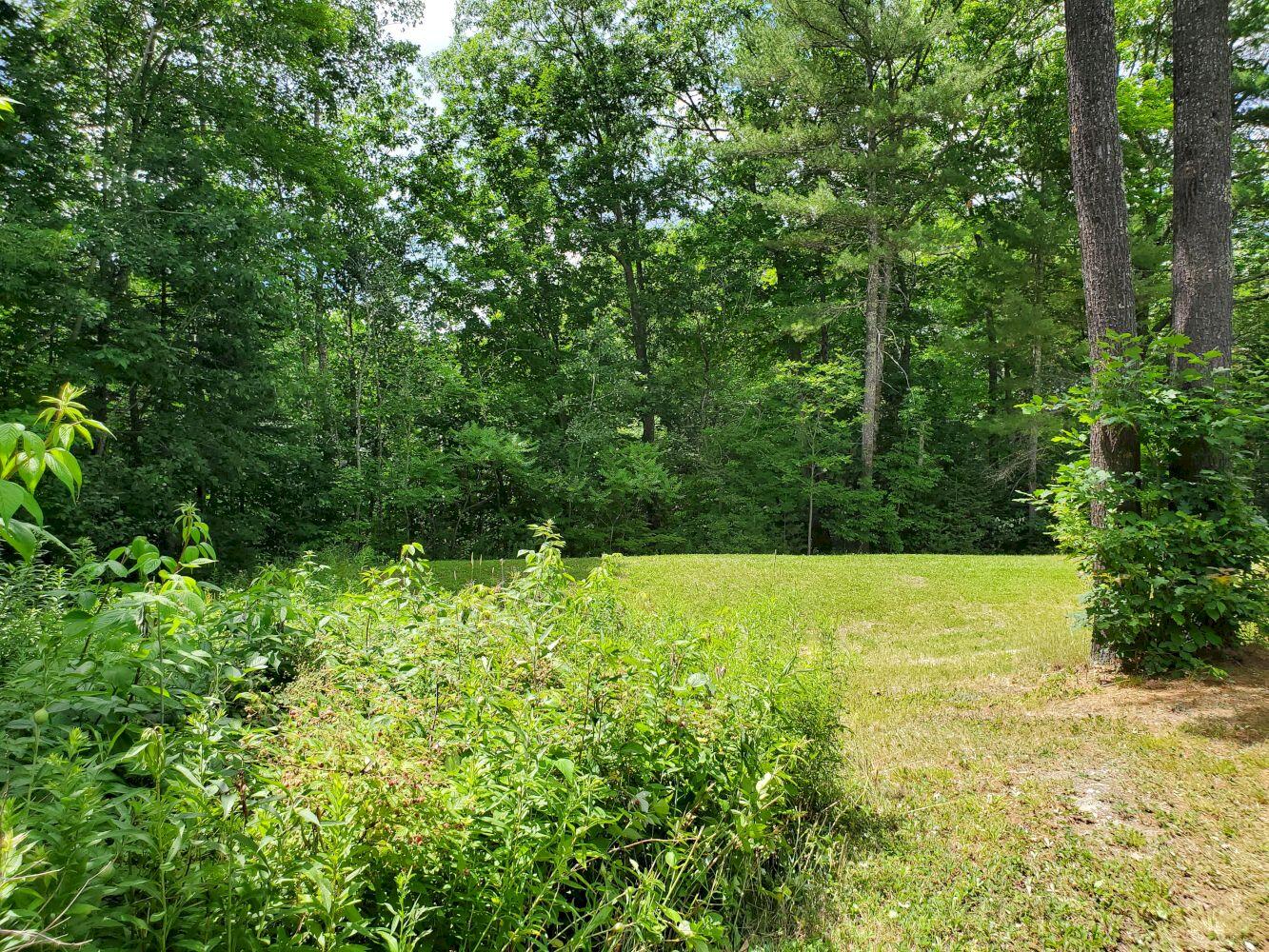 241 W Road Solon, ME 04979 - Photo 35 of 53 20220708_135344