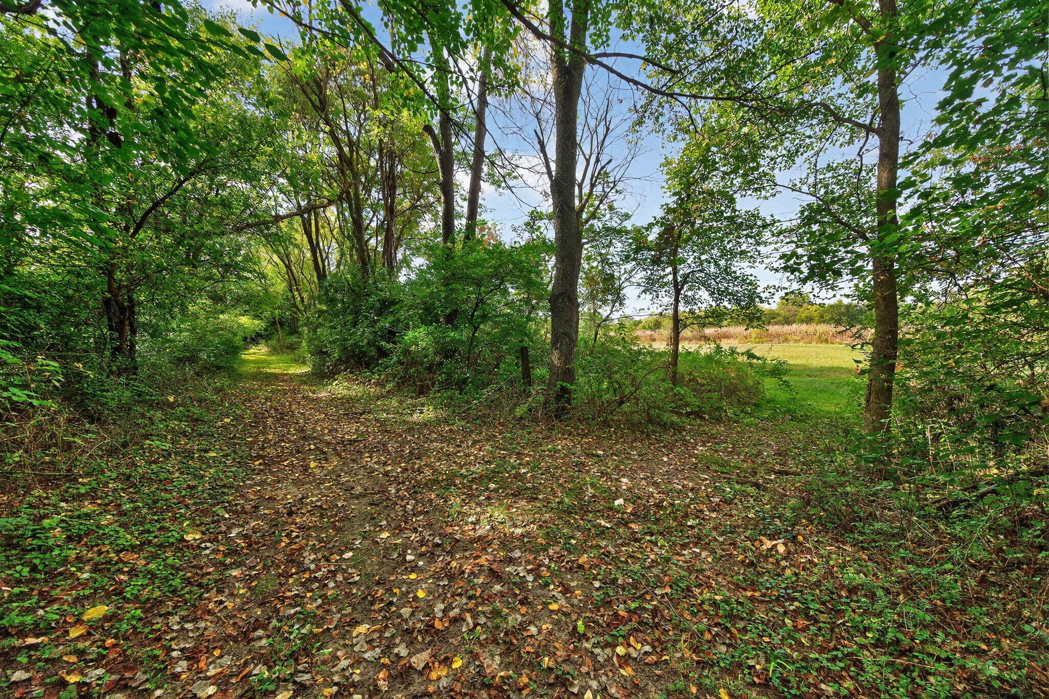 2314 Hand Road Niles, MI 49120 - Photo 12 of 73 2314 Hand Rd-43