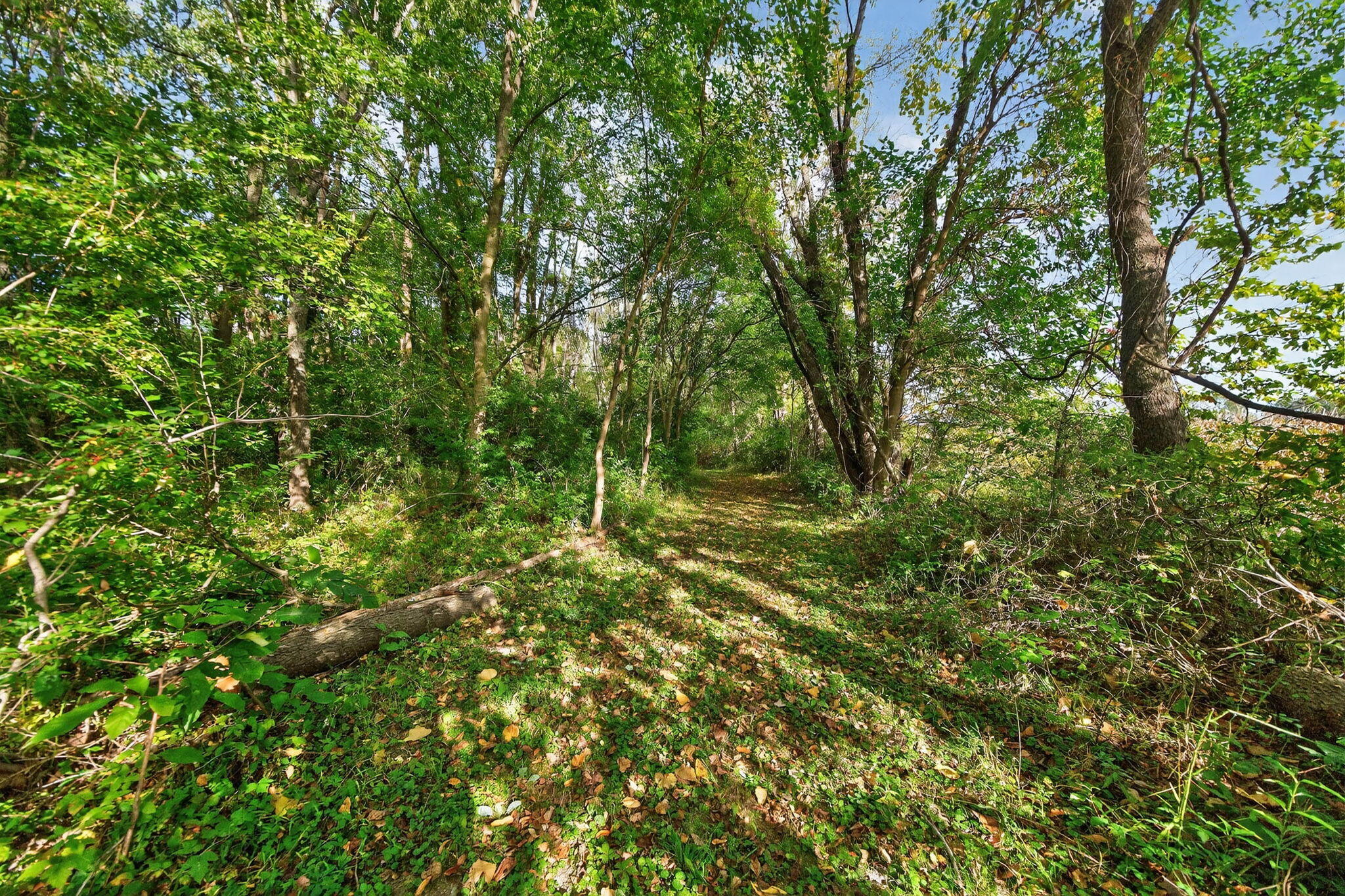 2314 Hand Road Niles, MI 49120 - Photo 63 of 73 2314 Hand Rd-40