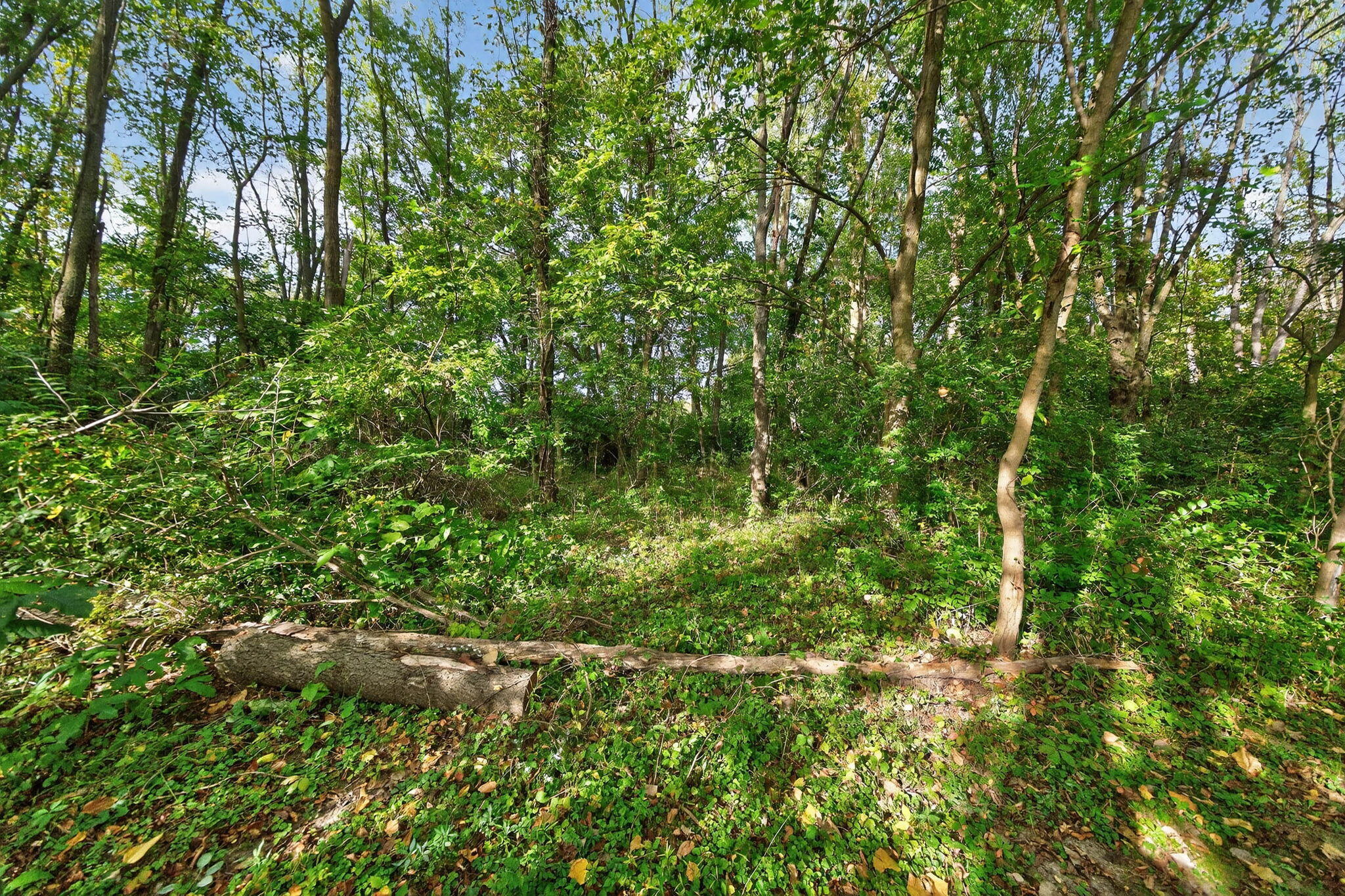 2314 Hand Road Niles, MI 49120 - Photo 64 of 73 2314 Hand Rd-41