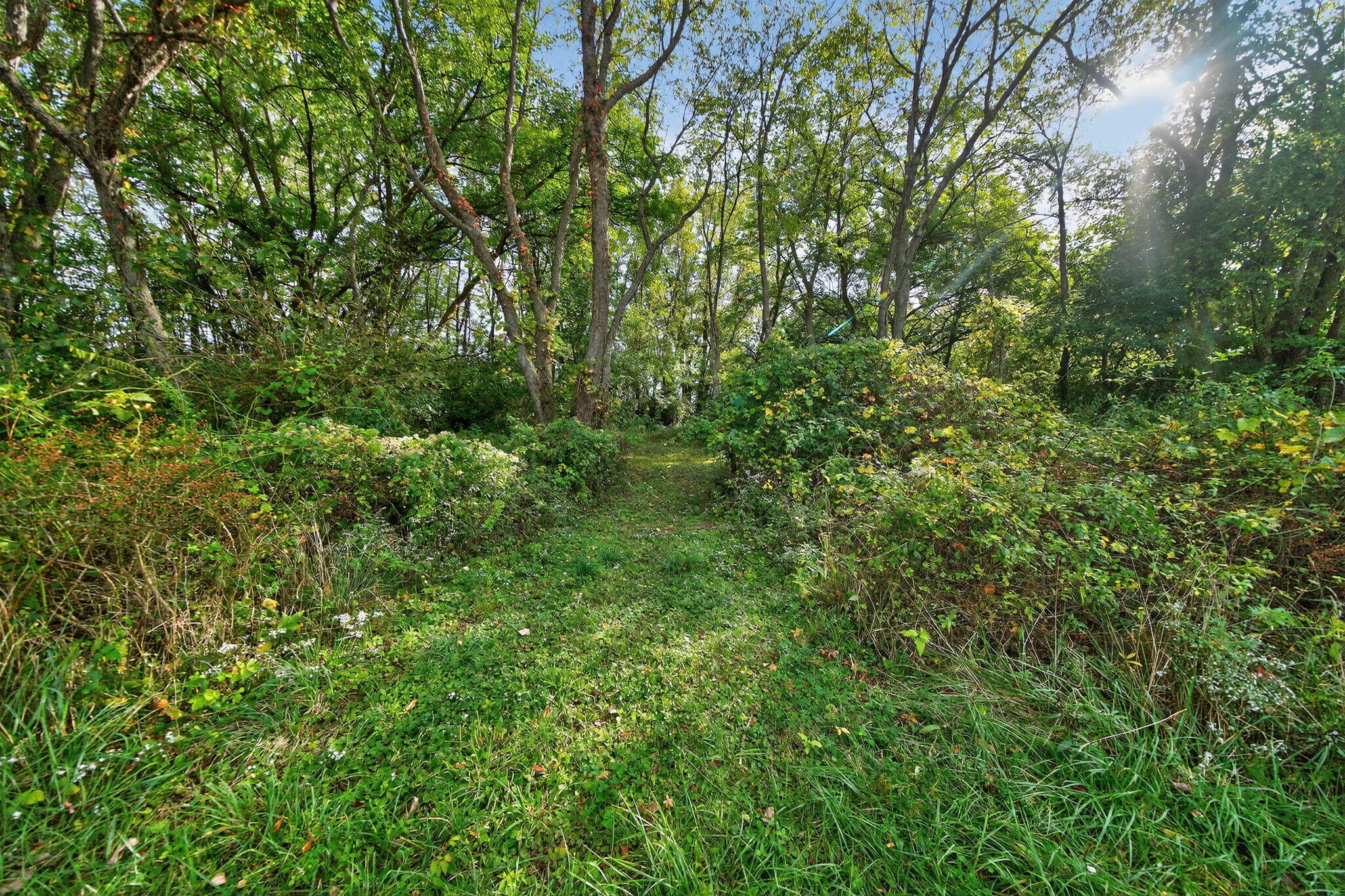 2314 Hand Road Niles, MI 49120 - Photo 66 of 73 2314 Hand Rd-45