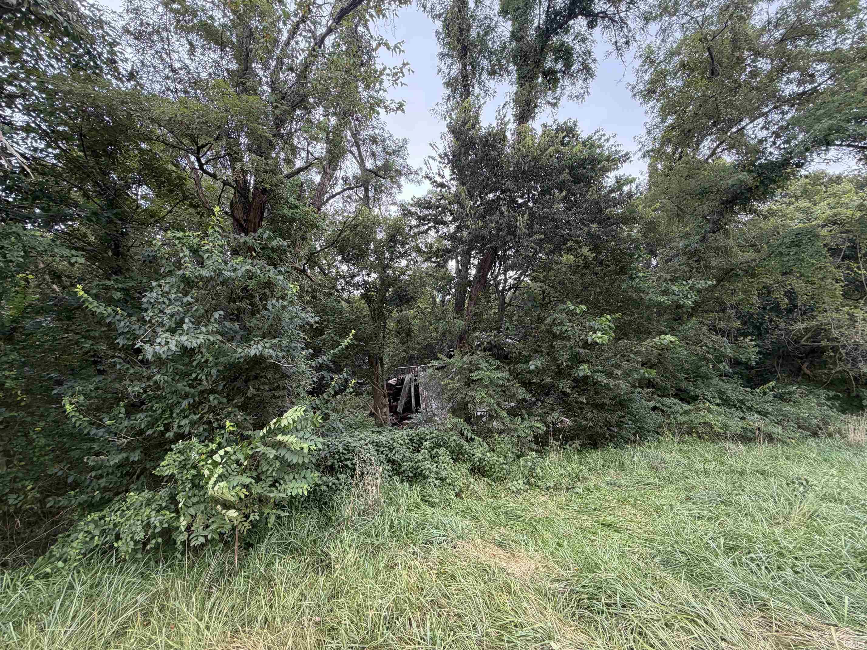 0 St Road Velpen, IN 47590 - Photo 7 of 8 Gallery Image 7