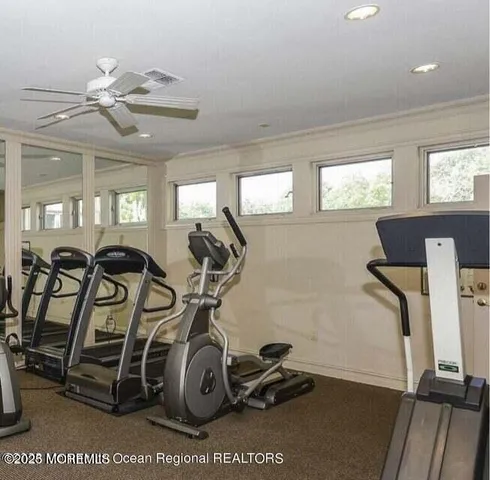 a view of a park with large trees