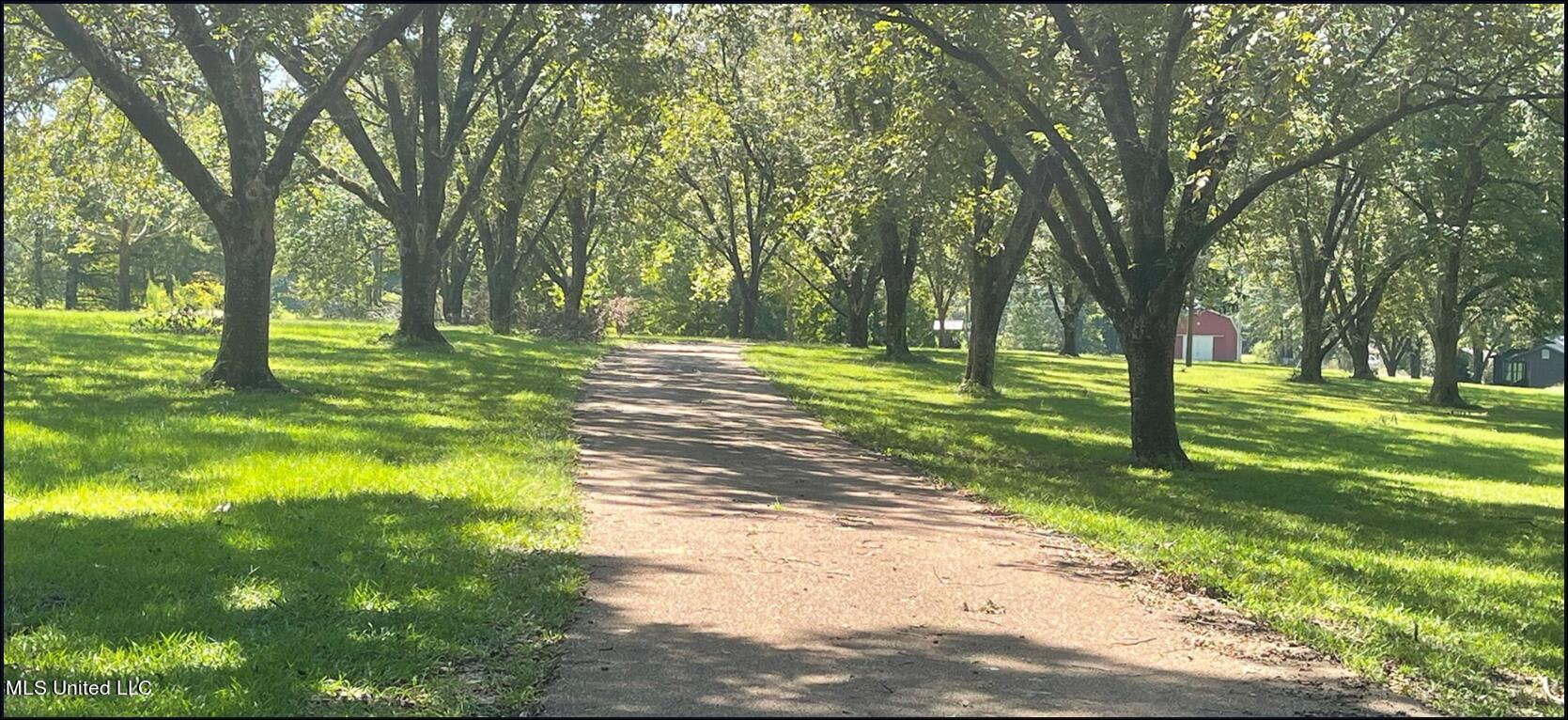 1175 Delancey Road Benton, MS 39039 - Photo 1 of 14 95 Acres in Yazoo