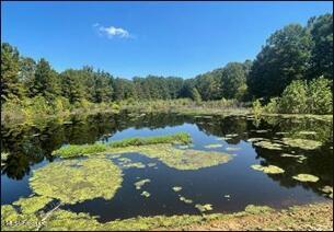 1175 Delancey Road Benton, MS 39039 - Photo 11 of 14 Picture11