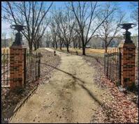 1175 Delancey Road Benton, MS 39039 - Photo 4 of 14 Picture4