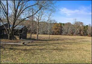 1175 Delancey Road Benton, MS 39039 - Photo 6 of 14 Picture6
