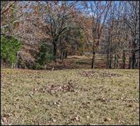 1175 Delancey Road Benton, MS 39039 - Photo 8 of 14 Picture8
